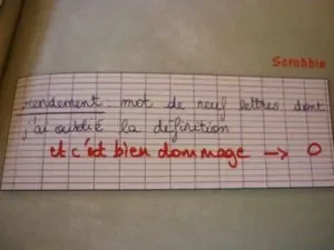 dommage.jpg