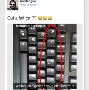 11393126_475344595962027_2162872119100068046_n.png