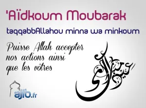 aid-moubarak[1].png