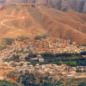 warka2.jpg