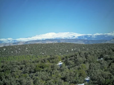 bouiblane1.jpg