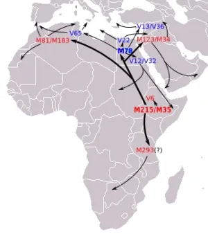 route-e1b1b.png