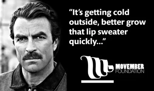 movember_header.jpg