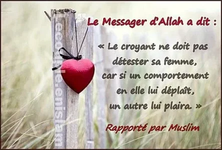 rappel3.jpg