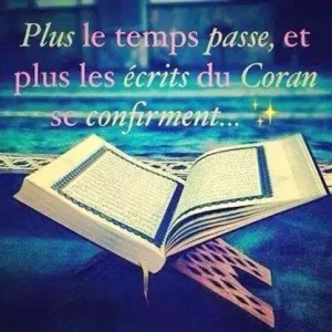 rappel4.jpg