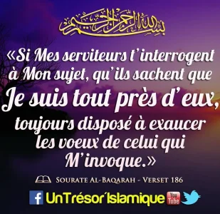 rappel8.jpg