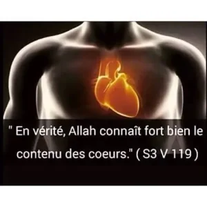 rappel29.jpg