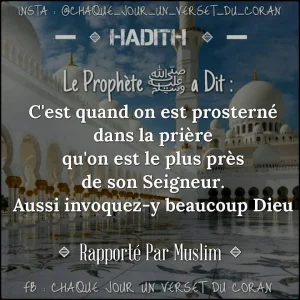 rappel35.jpg