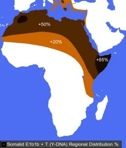 e1b1b_map.jpg