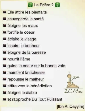 rappel38.jpg