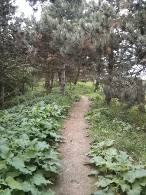 runtastic2015-05-07_15_50_46.jpg