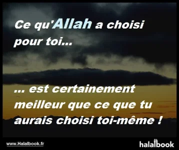 rappel43.jpg