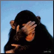 526579f456a86.gif