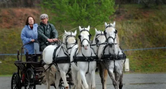 equipage.jpg