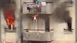 7298229.jpg