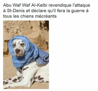 image.jpg