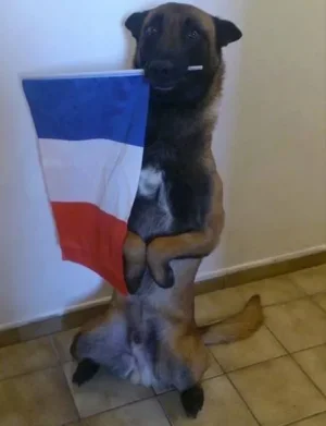hommage à diesel 2.jpg