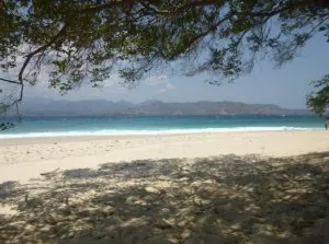 06.JPG