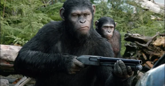 la-planete-des-singes-l-affrontement-photo-53d1fd5f5c995.jpg