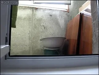 30.gif