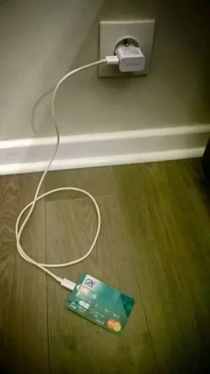 11905783_207915319544292_6210609873647853681_n.jpg