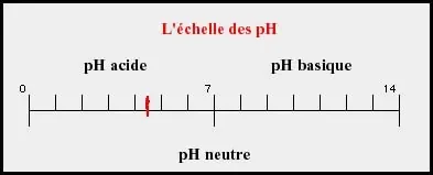 echelle des ph1.jpg