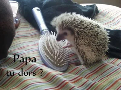 papa.jpg