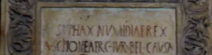 Siphax.jpg __.png