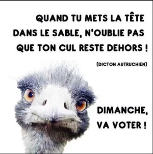 regionales2015-autruche.JPG