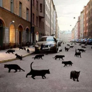 rue.jpg