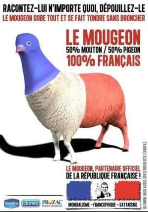 mougeon.JPG