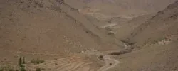 12390929_1007037652677907_6081156251631563486_n.jpg