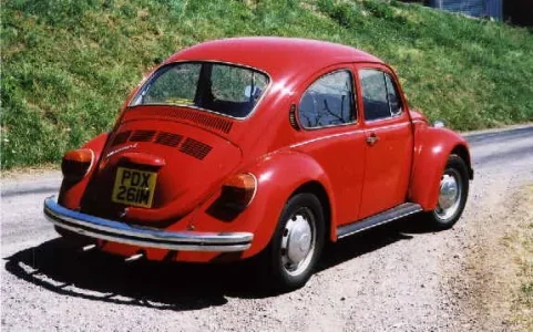 Coccinelle11.jpg
