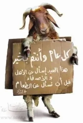 7awli.jpg