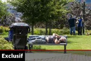 102947-sans-abri-dort-pres-bagage.jpg