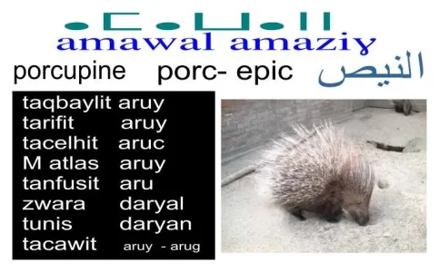 Aruy.jpg