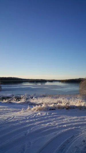 20151228_123602.jpg
