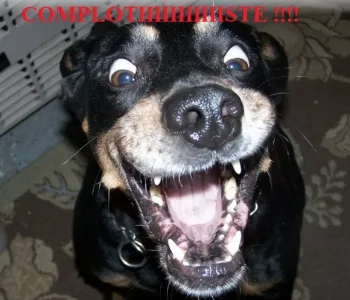 anti-compliste !!.jpg