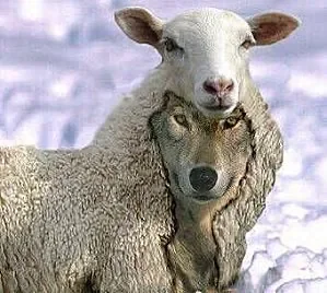 Loup-dans-la-bergerie.jpg