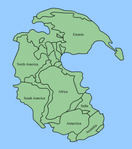 440px-Pangaea_continents.png