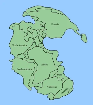 440px-Pangaea_continents.png