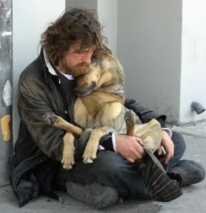 sdf chien 10.jpeg