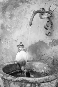 fontaine 4.jpg