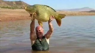 image.jpg