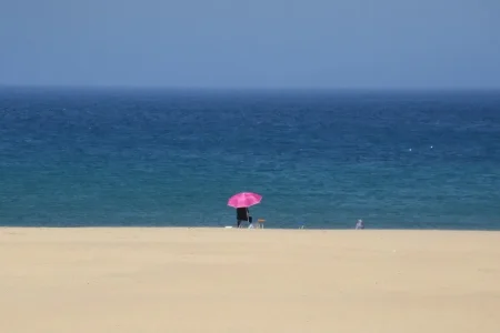 parapluie.jpg