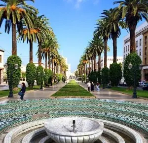 Av M5 rabat.jpg