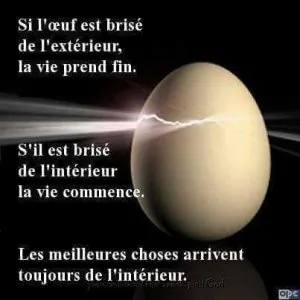 FB_IMG_1454156083552.jpg