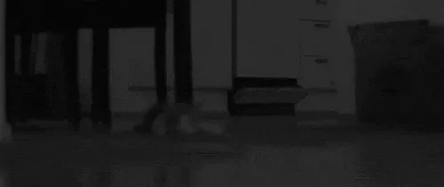 escaping.gif