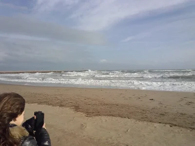 12670155_232679190401331_1850597987428046664_n.jpg