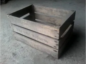 image.jpg